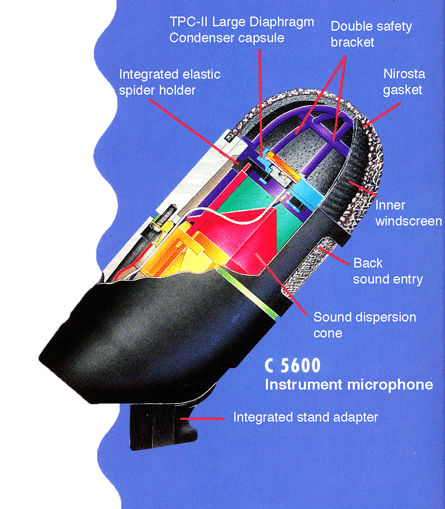 C5600 cross section