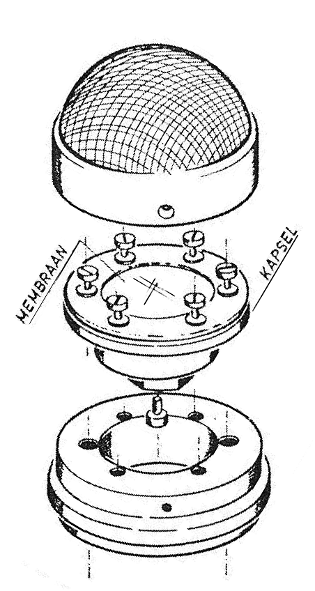 RTV capsule