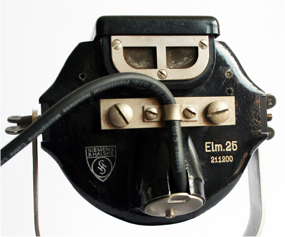 ELM 25 under