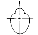 cariod pattern